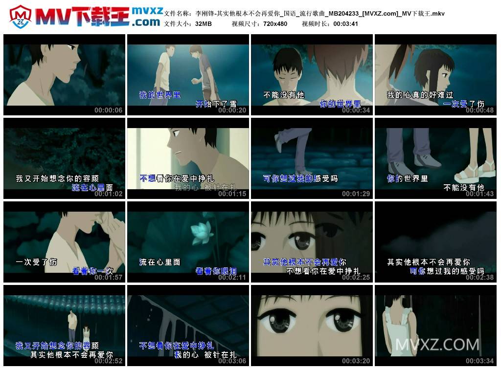 李刚锋-其实他根本不会再爱你_国语_流行歌曲_MB204233